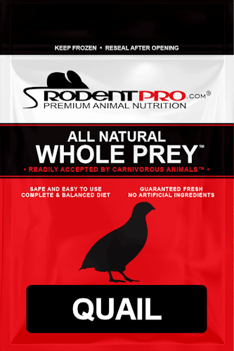 Frozen Feeders for Sale: Shop Online at RodentPro